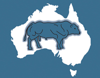 Belgian Blue Logo